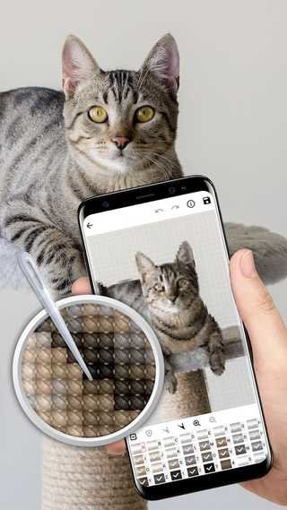 ����ʮ�������°�