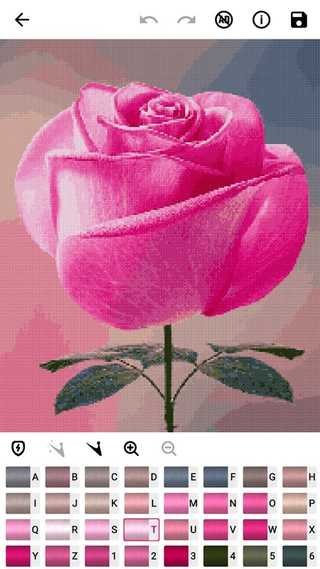 ����ʮ�������°�