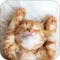 ��è��������app