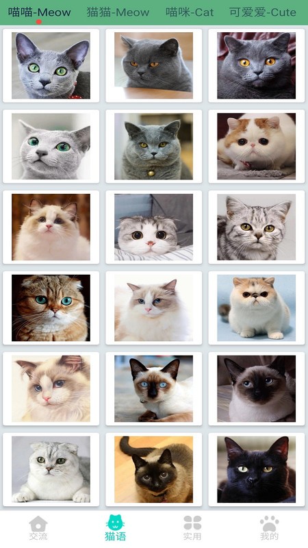 ��è��������app