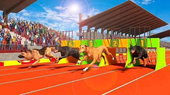 ������ģ�������İ�