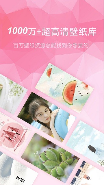 ��ֽ���嶯̬�����ȫ��Ѱ�