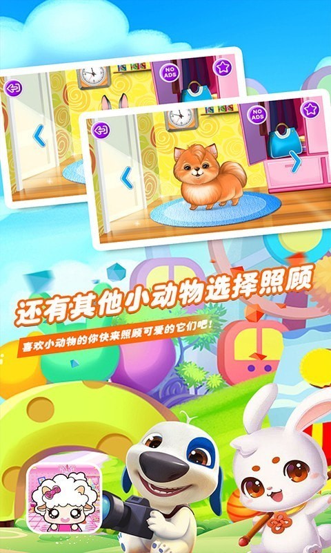 ��װ���С�������������