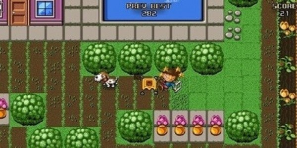 ���ղ�ƺ�����ֻ���