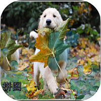 �ҵ�ƴͼ�����ֻ���