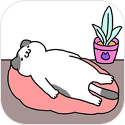 ���ù���è����