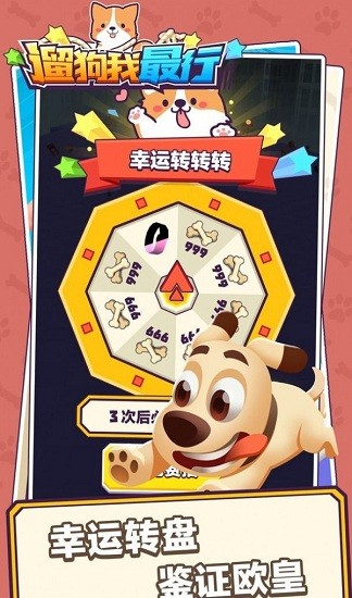 �޹����������°�