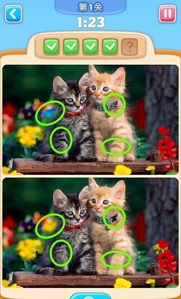 你能找到它吗最新版