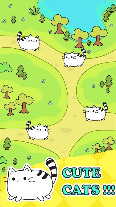 ��һֻè���ֻ������