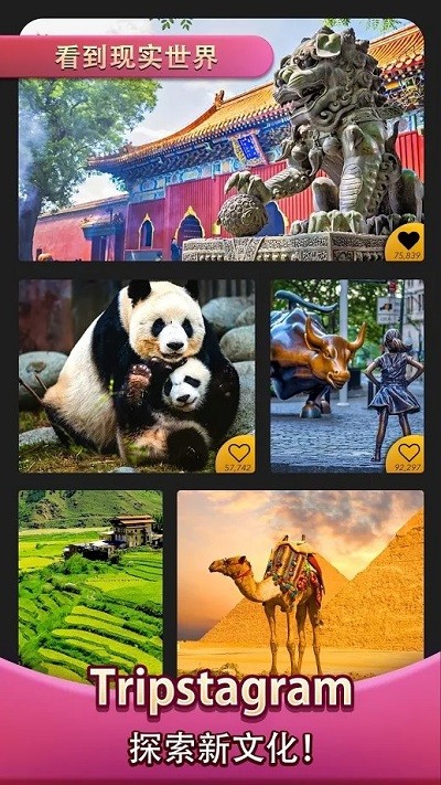 �����ô��������