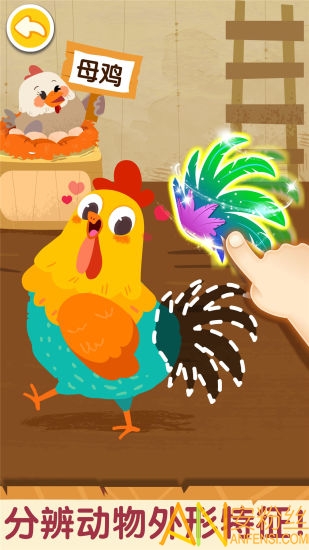 ����Ķ����ͥ������ʿ