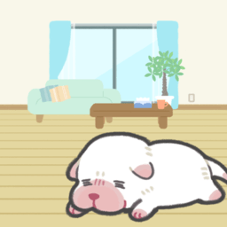 �����еĳ�������