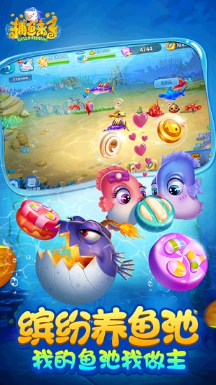 ������������