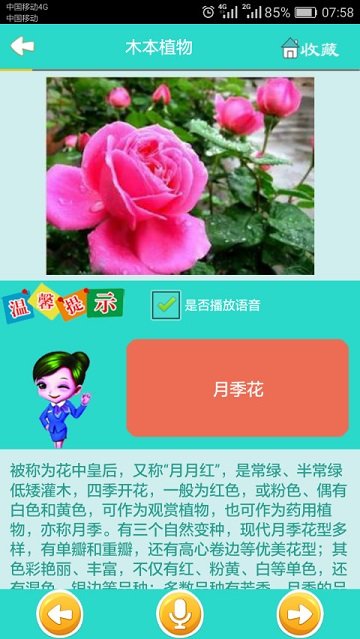 看图识花大全 看图识花app下载