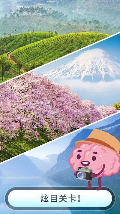 ������Ϸ�����������İ�