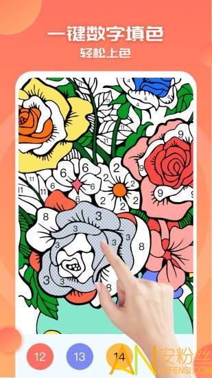 ͿɫС�����������