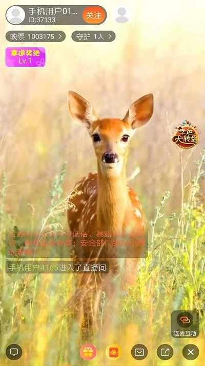 ��������ֻ�������