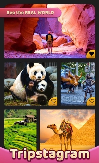 ���������������Ϸ