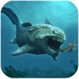 ���׾���ģ�������İ�