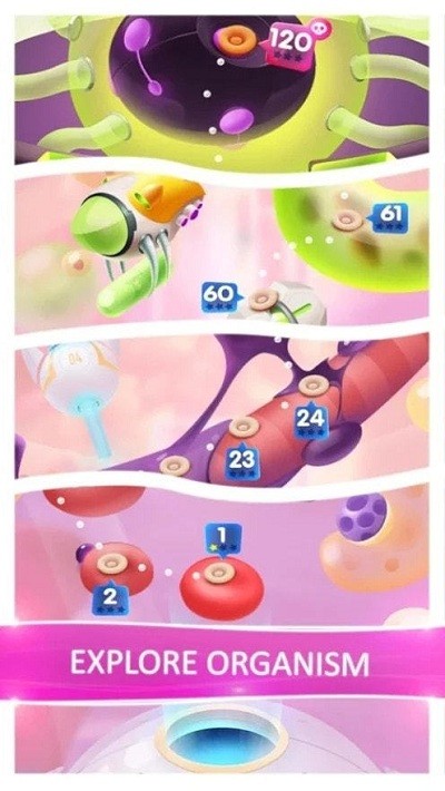 ����ש���������