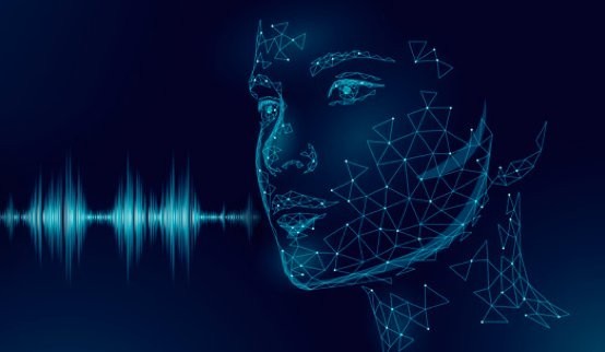 犀牛车信车机版