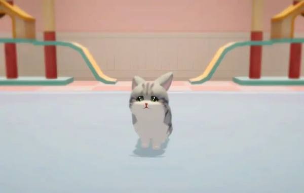 ���˸�è��Ϸ