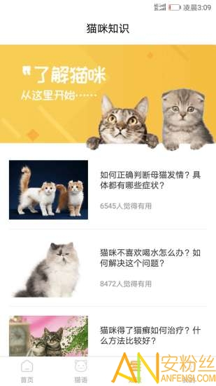 猫咪翻译器app 猫咪翻译器手机版下载