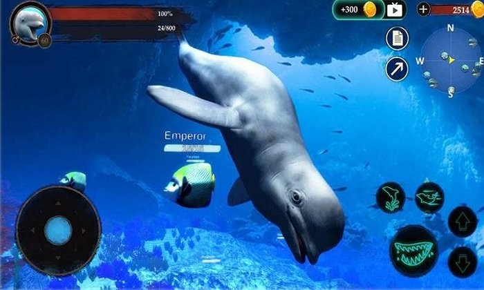 �����ɱ���°�