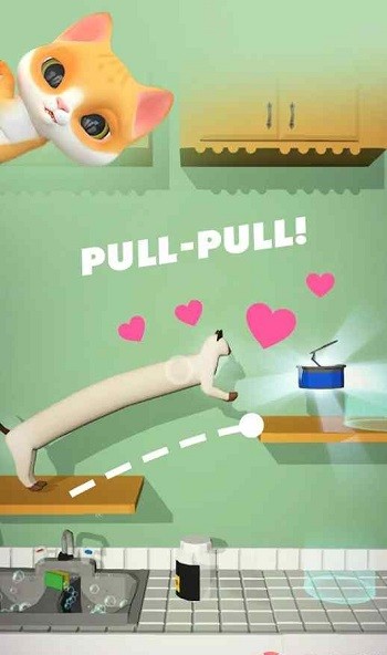 ��������è�ֻ���