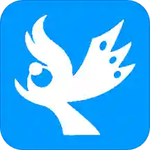 �����˶�����