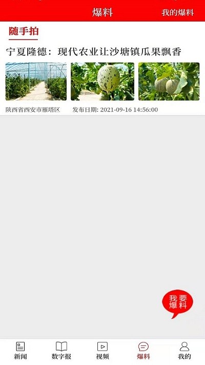 ����ú����