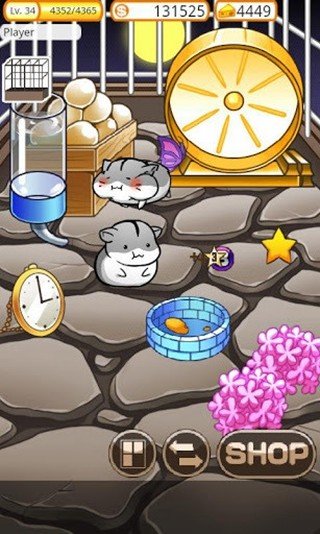 ������ճ�С��Ϸ