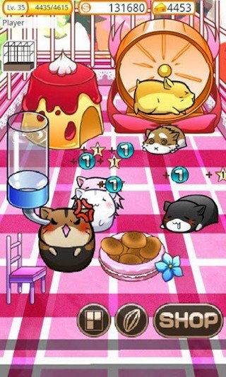 ������ճ�С��Ϸ