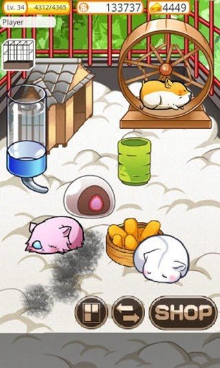 ������ճ�С��Ϸ