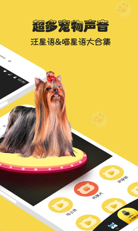 �˹�è�������������İ�