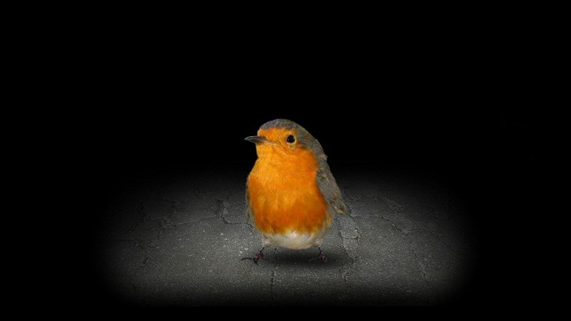 mitoza游戏 mitoza手机游戏下载