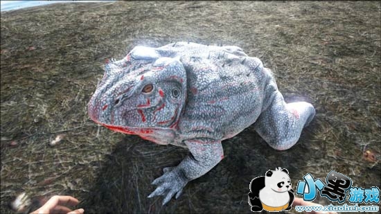 方舟生存进化手机版魔鬼蛙吃什么 魔鬼蛙怎么