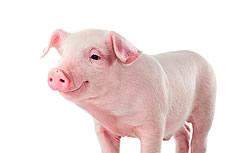 为什么朋友圈都在晒18岁的照片?朋友圈晒18岁