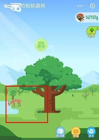 ֧��������ɭ������Ϊʲôû��¹_����ɭ�ֱ�������ô����