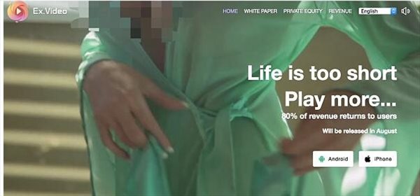 xiaohei������