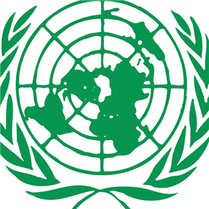 xiaohei������