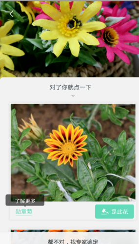 ��ɫAPPʶ�����Ĳ�������