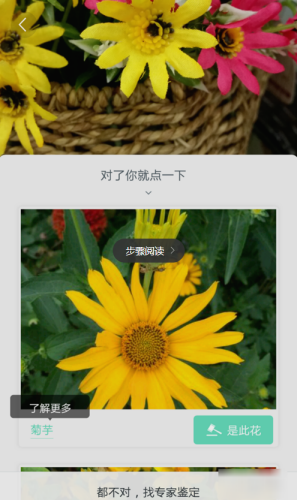 ��ɫAPPʶ�����Ĳ�������