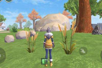 ħϺСô ħϺСʳ䷽