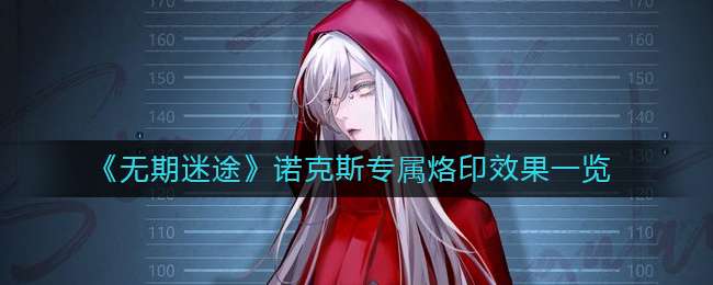 ��������;��ŵ��˹ר����ӡЧ��һ��