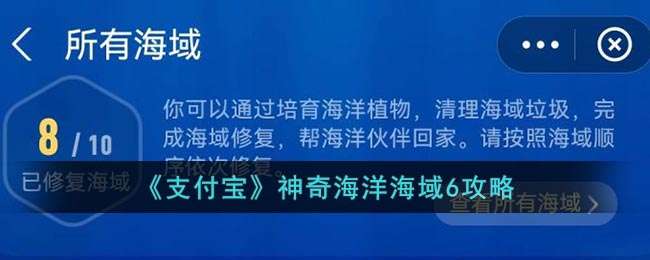 ��֧���������溣����6����