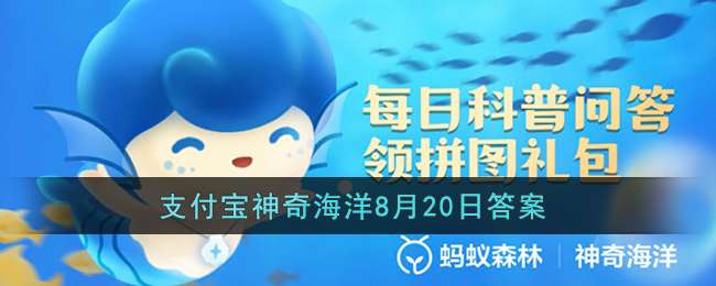 �����ֺ��ೱһ����Ҫ����ʲô�����