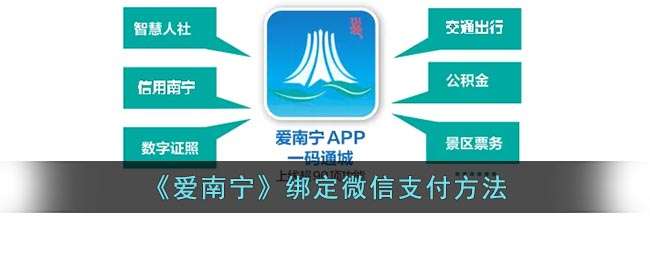 ������������΢��֧������