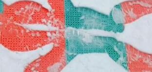 ����ѩ�ز����Ӳ���̳� ��ѩ������ͼƬ