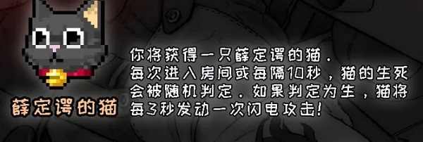 ս������Ѧ���̵�è��ʲô��